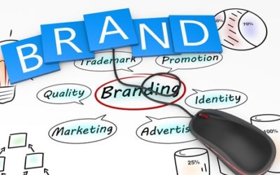 Sfruttare (davvero) i social per la SEO di un brand