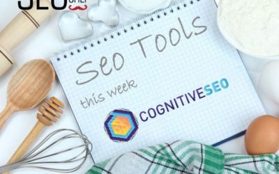 La funzione Social Visibility di Cognitive Seo