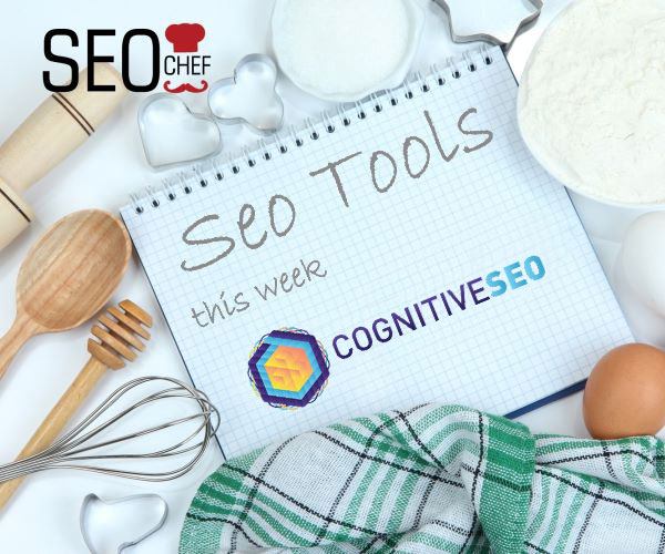 sezione social visibility di cognitive seo